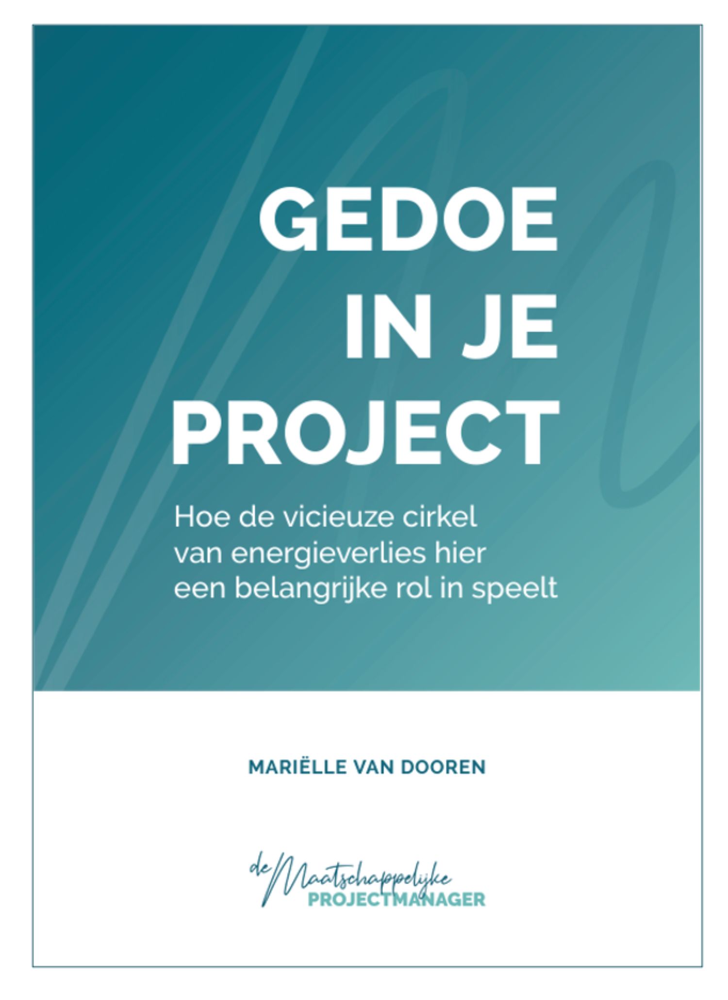 Voorpagina e-book 'gedoe in je project'