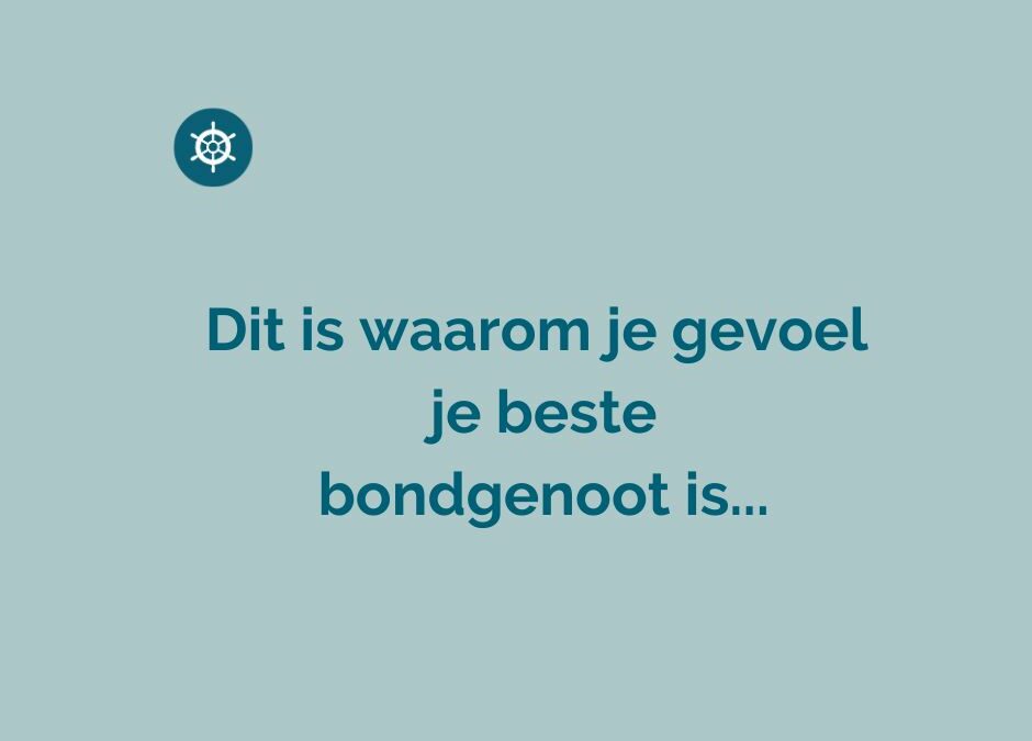 Dit is waarom je gevoel je beste bondgenoot is