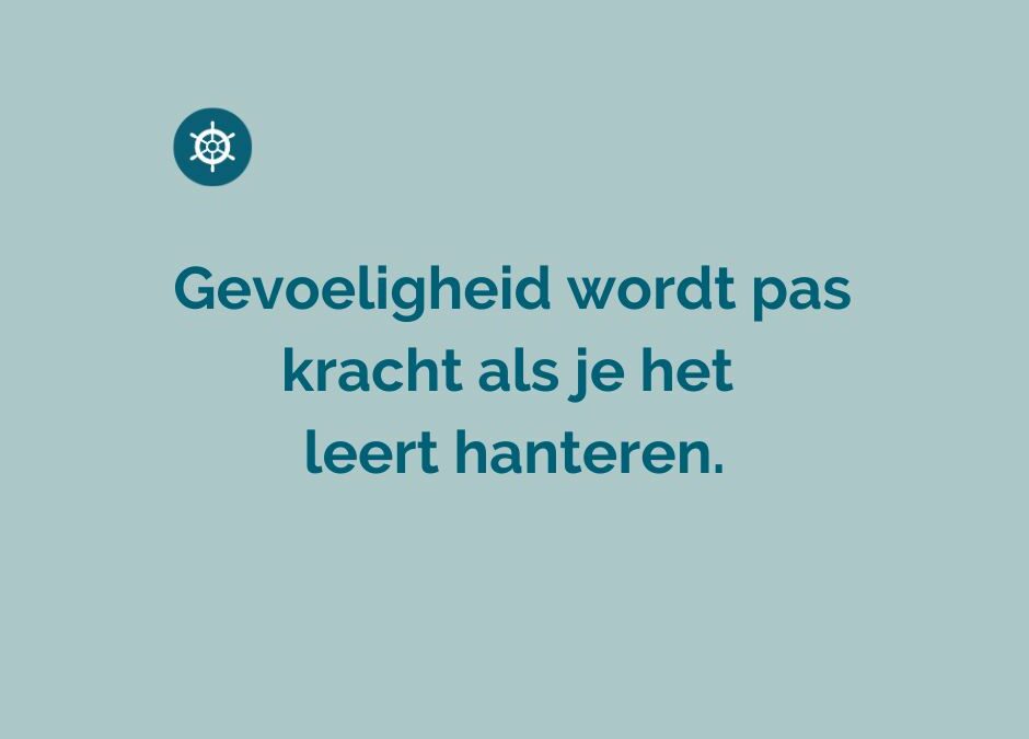 Sensitiviteit is geen strategie