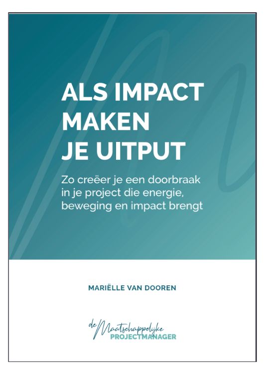 Voorpagina e-book 'gedoe in je project'